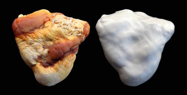 28312349_10215596267089074_1883886976_o