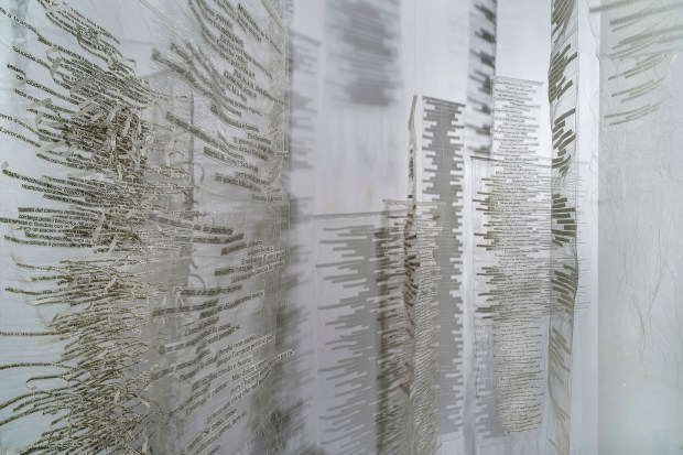 Silvia Beccaria . Aracne, la sfida ordita