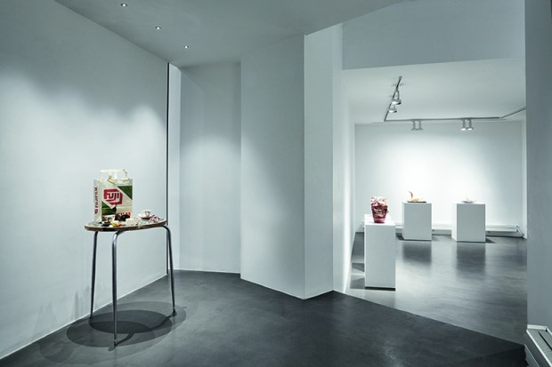 3 Bertozzi &amp; Casoni. Così è (se vi pare), Galleria Anna Marra, Roma