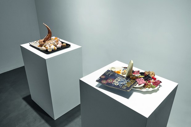 7 Bertozzi &amp; Casoni. Così è (se vi pare), Galleria Anna Marra, Roma