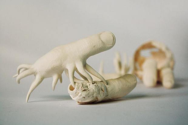 29598109_10215799659806781_6628356375515883931_n