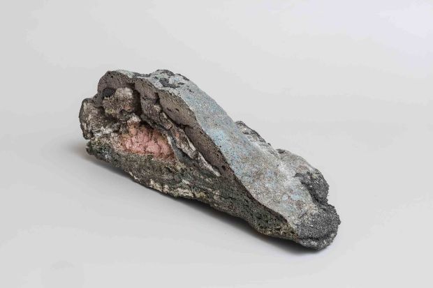 Eva Pelechova - The whole heaven_PrimoPremio2018