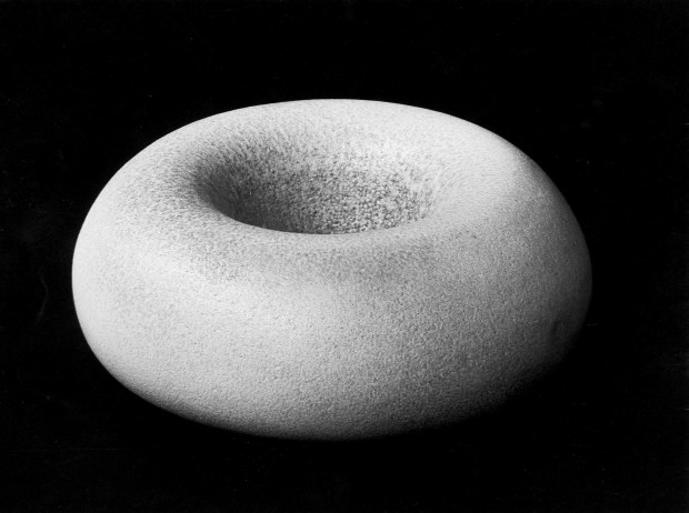 Carlo Zauli, courtesy MCZ