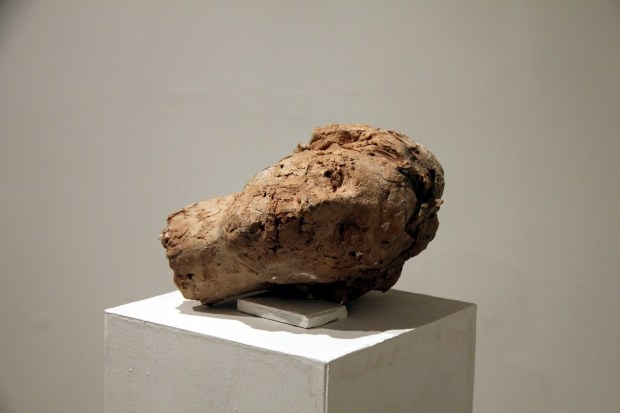 Davide Rivalta - IMG_4788 (Copia)