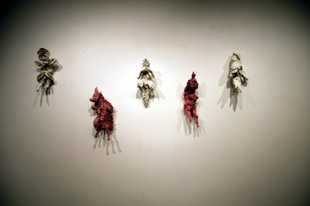 Emiliano Maggi - IMG_4783 (Copia)