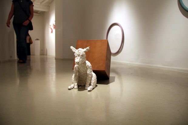 Manuela Cirino e Davide Monaldi - IMG_4793 (Copia)