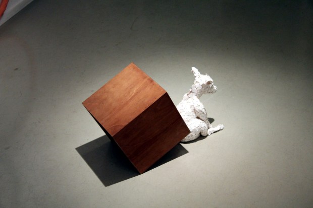 Manuela Cirino - IMG_4790 (Copia)