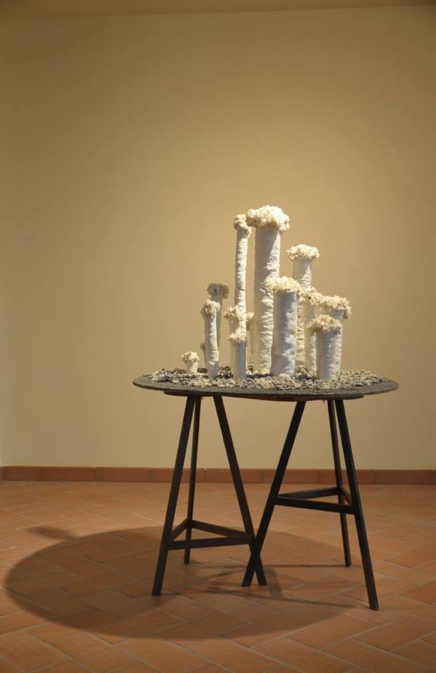 44166149_991063597757211_5123639913882845184_o