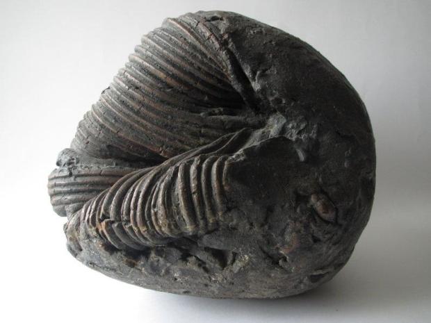 keramikos-2018-percorsi-attuali-sulla-scia-di-quattro-omaggi_03