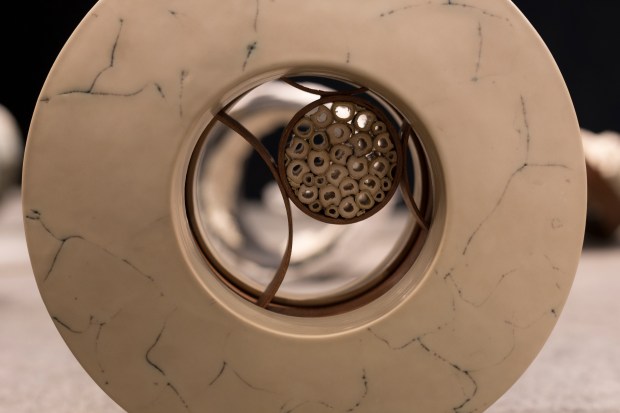 senza titolo-12720189-senza titolo-127