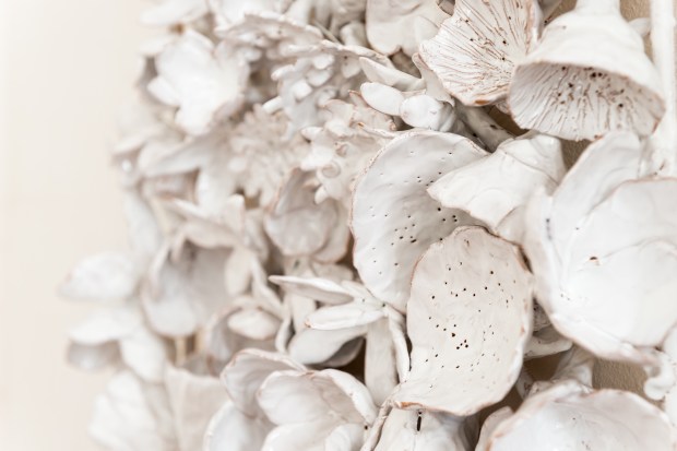 Fiorenza Pancino-L'innocente bellezza© Chiara Casanova