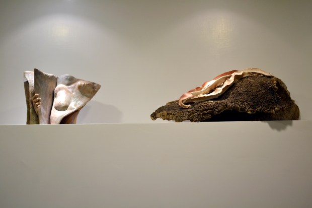 naked, leaves installation. P.G. A.A.