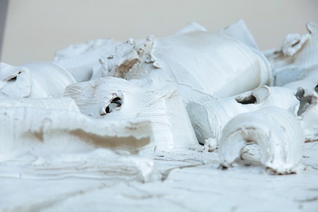 pegaso_particolare01