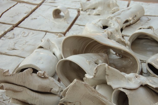 pegaso_particolare02