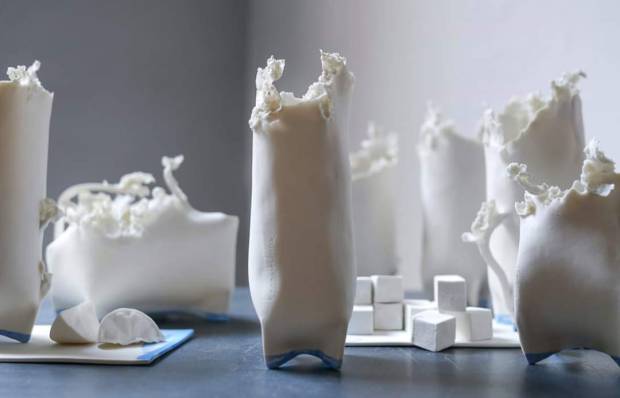 56328692_2369106643120970_6072327524472324096_o