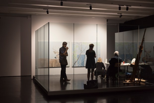 yvonne13 (1 di 1)IMG_0072IMG_00722019yvonne13