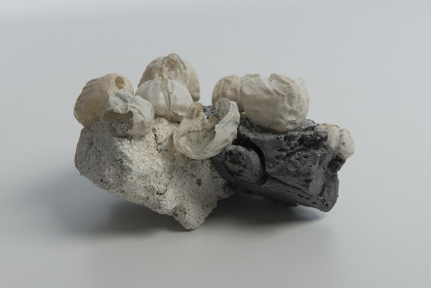 Mara Ruzza_MARE NOSTRUM#02_porcellana organica-plastica spiaggiata