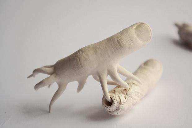 71152289_1296454543862137_1697680583607451648_n