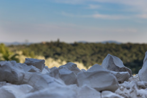 Porcellana toscana (1 di 1)senza titolo-49senza titolo-492019Porcellana toscana