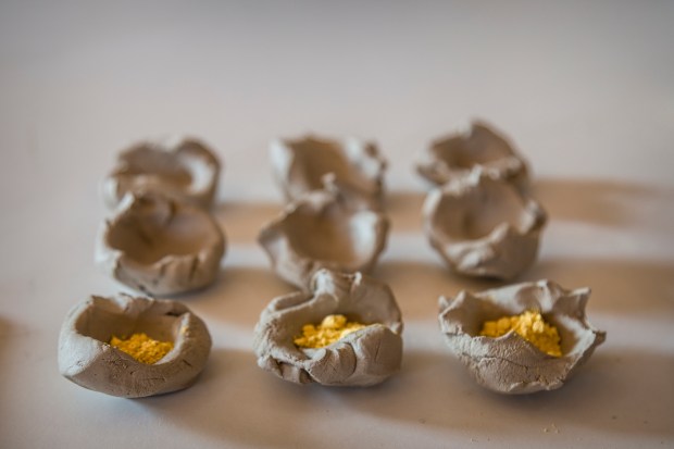 TEST SILVIA (1 di 1)senza titolo-37senza titolo-372019TEST SILVIA