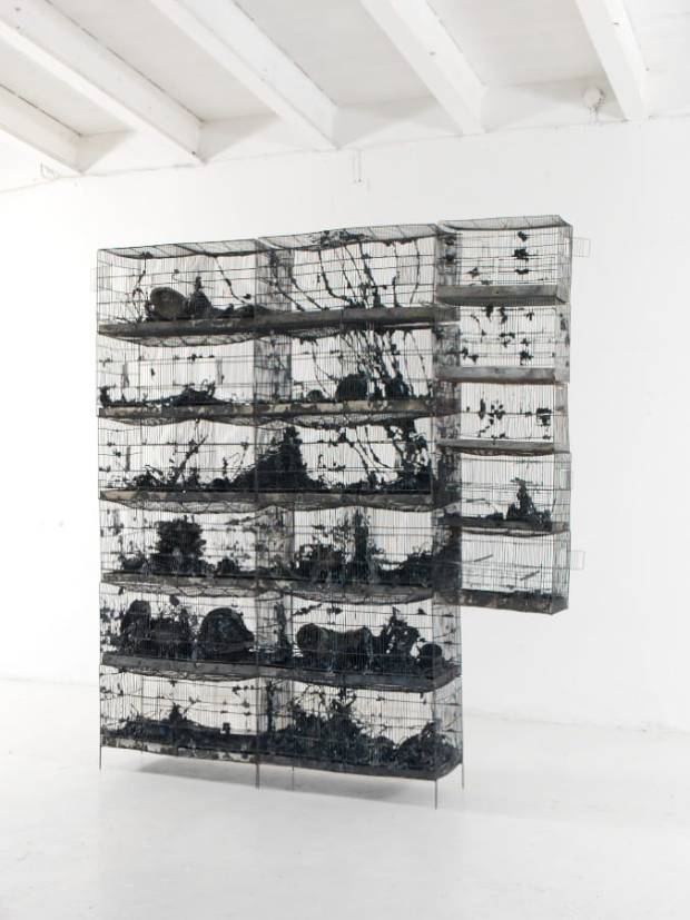 WhatsApp Image 2019-11-28 at 23.43.52 (2)