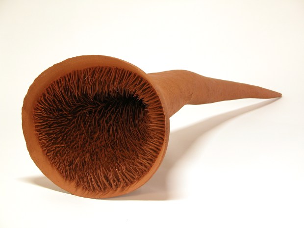 5- Tengo mucho miedo de ser un animal (2)