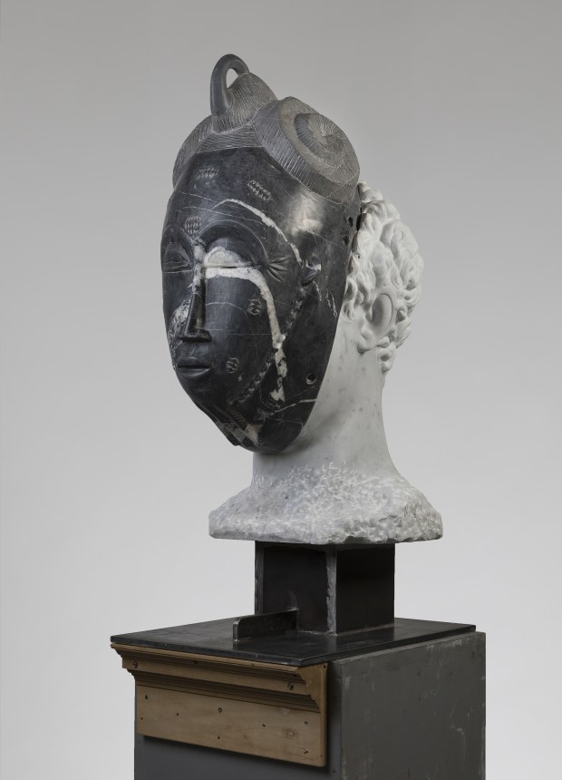 African_hermes_2_pelletti